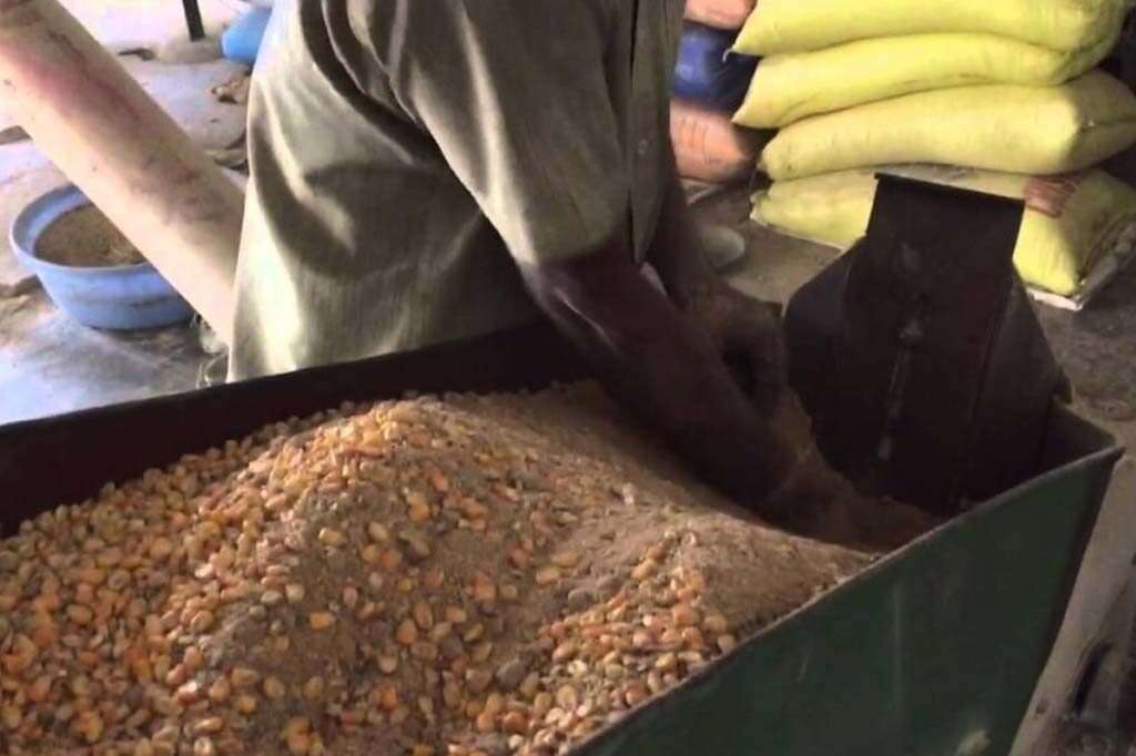 Animal Feed Preparation: Everything you need to know
