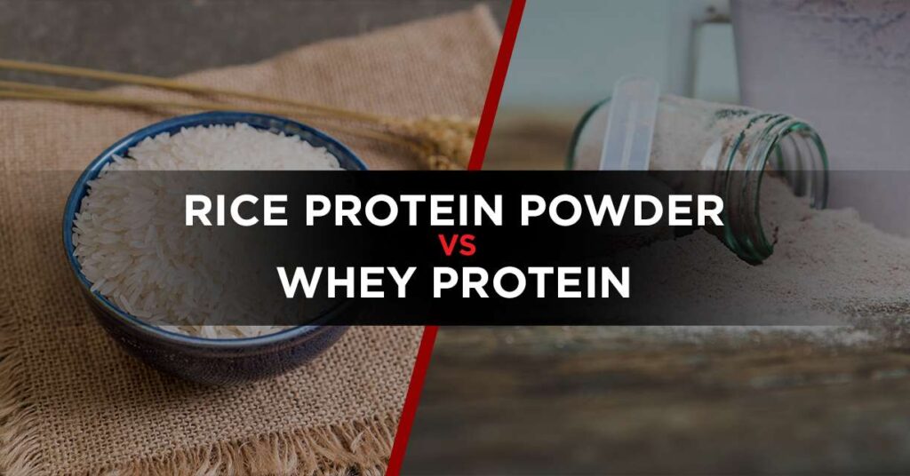 Rice protein powder vs whey protein featured image