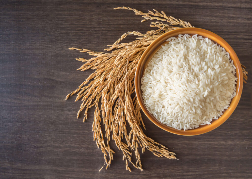 Rice Good for Weight Loss. A bowl of white rice on a dark wooden surface, accompanied by golden rice grains still on their stalks, showcasing the transition from raw.