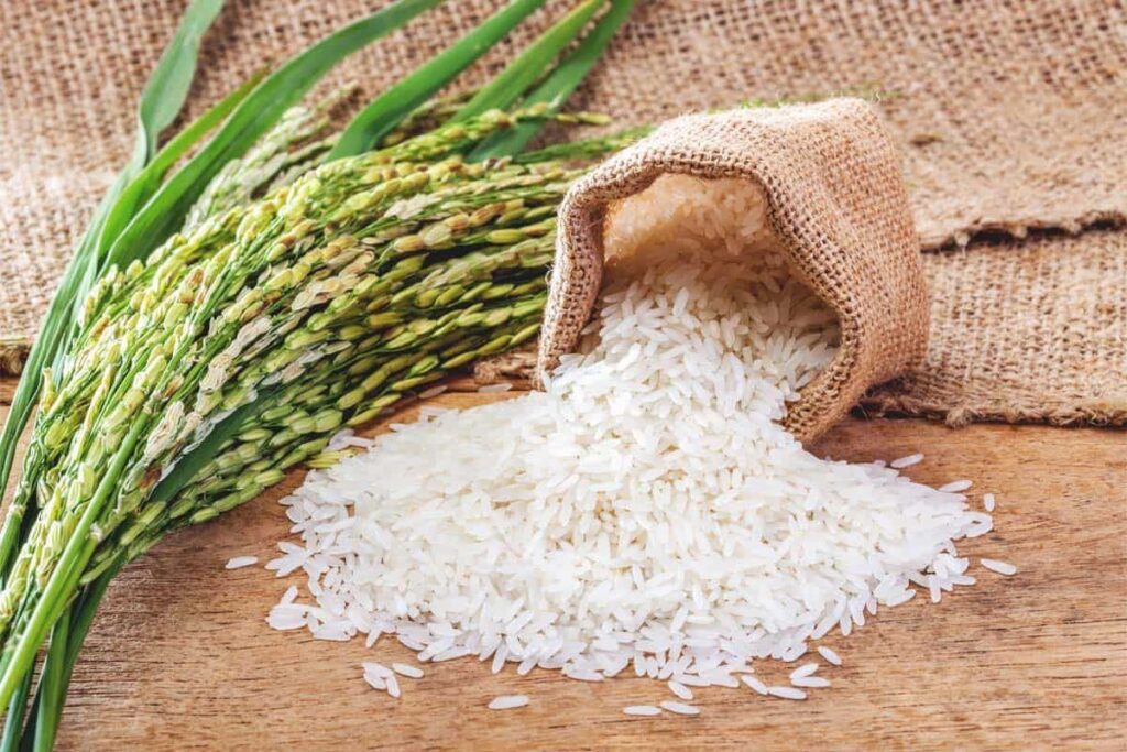 Basmati Rice and its Potential Health Benefits