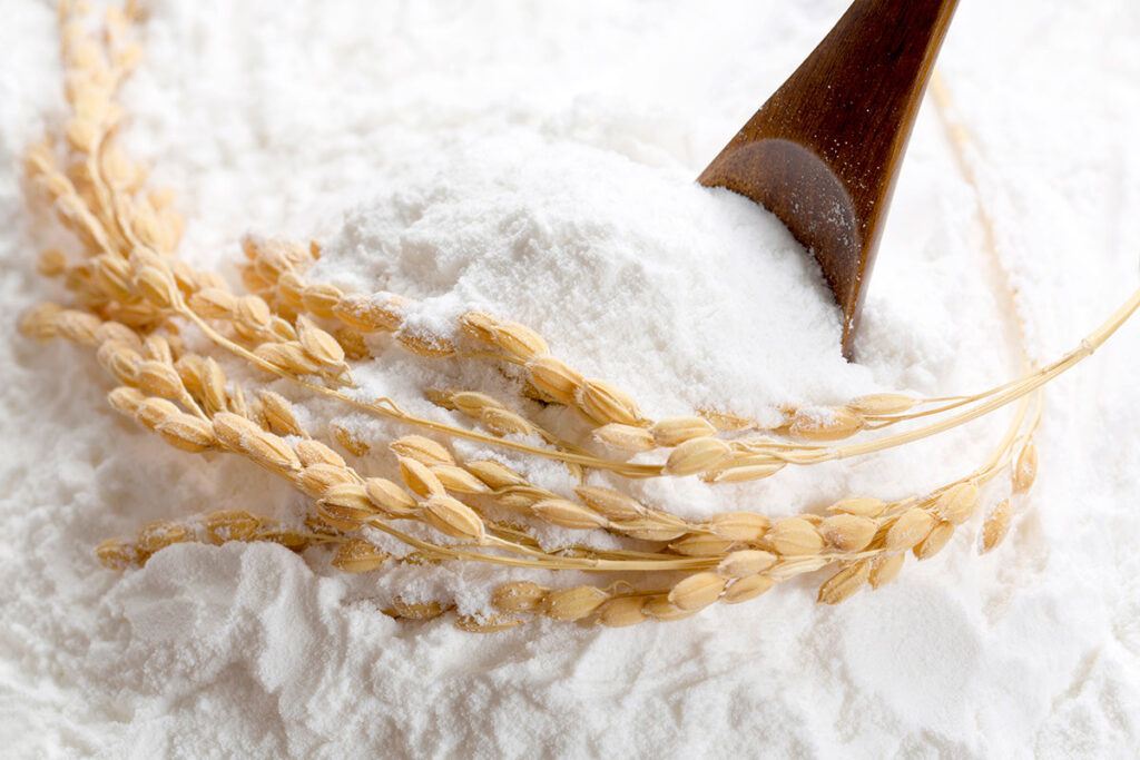 Grain to Gain: How Rice Maltodextrins are Transforming Our Wellness Journey