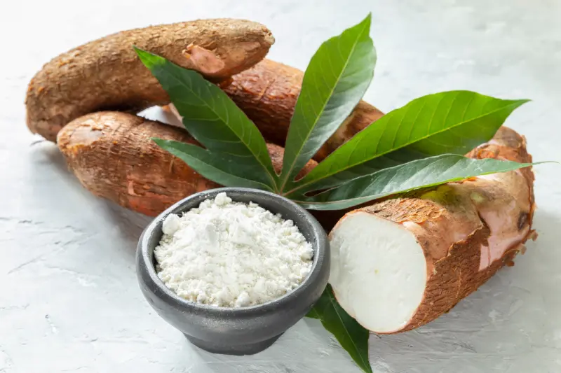 Tapioca Starch Benefits. A close-up view of fresh cassava roots with their rough, brown exterior texture, alongside vibrant green leaves and a bowl of white cassava flour on a textured stone.