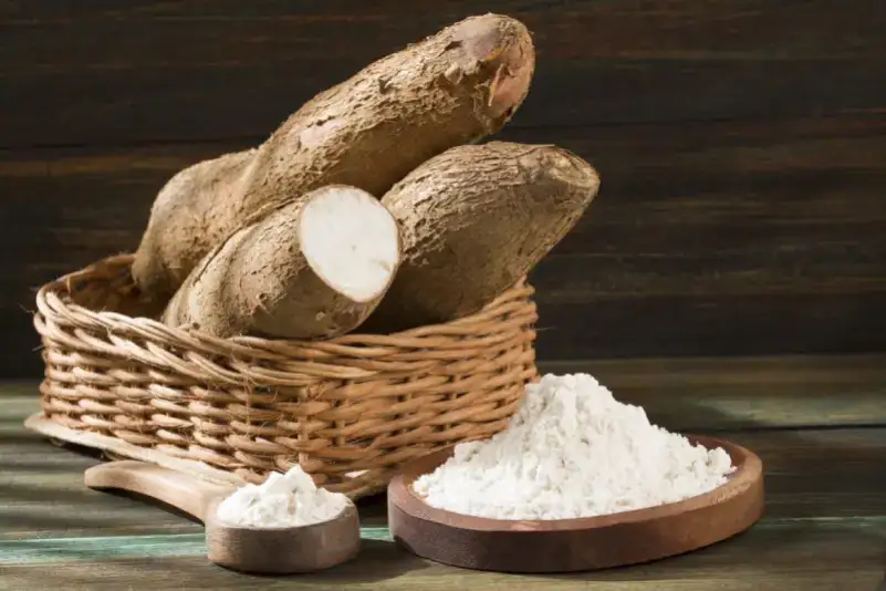 Organic Tapioca Maltodextrin Safe. A close-up view of a woven basket filled with whole cassava roots, alongside a wooden bowl of cassava flour and a spoon on a dark wooden background.
