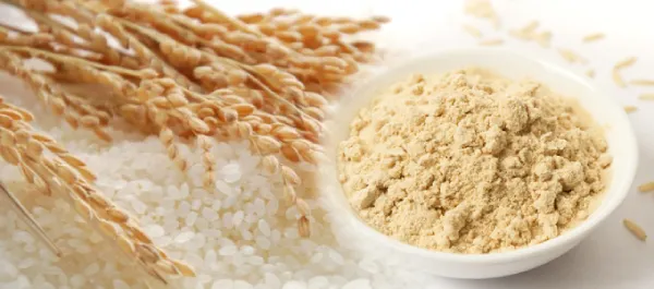 Rice Protein. A close-up view of a pile of white rice grains, golden wheat stalks, and a bowl of finely ground flour on a pristine white surface, symbolizing the variety and richness of cereal grains