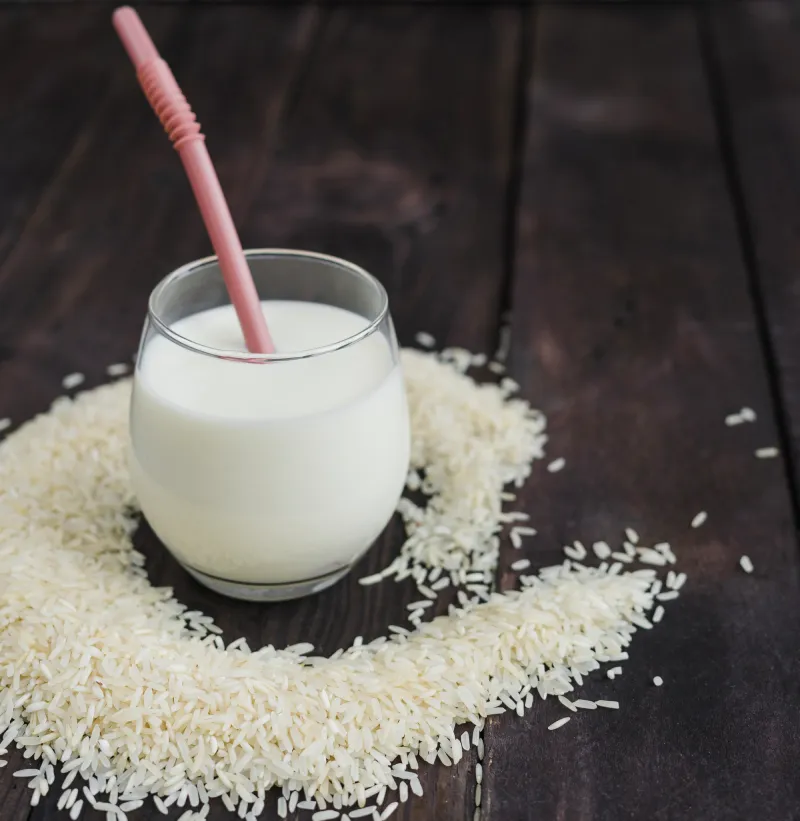 What is Rice Protein?